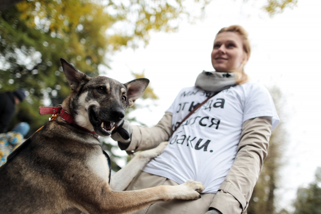 Дата: 05.10.2013, Время: 14:46 Выставка бездомных животных из московских приютов в Парке Горького