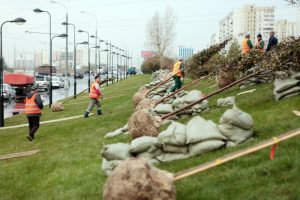 Фото: "Вечерняя Москва"