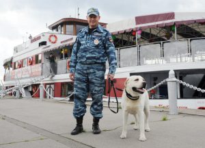 Набережные Москвы освобождают от объектов, которые непригодны для судоходства, с 2013 года. Фото: "Вечерняя Москва"