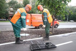 Пользователи могут подтвердить или опровергнуть решение вопроса в течение 15 дней. Фото: "Вечерняя Москва"