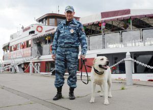 Все действия были скоординированы по отработанному плану. Фото: Александр Кожохин, "Вечерняя Москва"