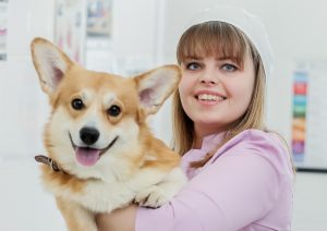Вакцинация домашних животных: Выбери удобный формат! Фото: Госветслужба ЦАО