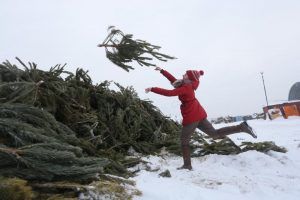 Москвичи уже сдали более 2,6 тыс деревьев в рамках акции «Елочный круговорот». Фото: Антон Гердо, «Вечерняя Москва» 