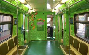 Поезд «Здоровая Москва» проедет через станцию метро «Комсомольская» кольцевой линии. Фото: официальный сайт мэра Москвы