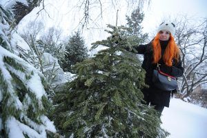 Пункты переработки новогодних елок открылись в Москве. Фото: архив, «Вечерняя Москва»
