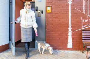 Меры профилактики необходимо соблюдать при обращении с животными в условиях пандемии. Фото: сайт мэра Москвы