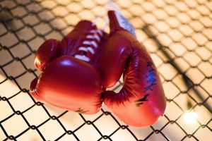 Онлайн-урок по боксу проведут сотрудники филиала «Красносельский». Фото: pixabay.com