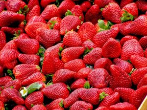 Сезонные ягоды можно купить по двум адресам в районе. Фото: pixabay.com