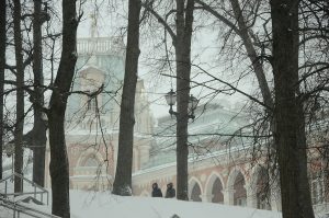 Зимняя рапсодия: открытие международной фотовыставки состоится в «Тургеневке». Фото: Анна Быкова