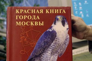 Лекция о грибах и растениях пройдет в «Тургеневке». Фото: сайт Библиотеки-читальни имени Ивана Тургенева