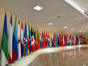 Молодые парламентарии района посетили Совет Федерации. Фото: страница Молодежной палаты района в социальных сетях