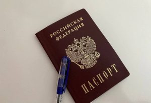 Хинштейн пригласил курян голосовать за губернатора Курской области в Москве. Фото: Анастасия Герман, «Вечерняя Москва»