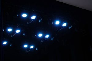 Премьера спектакля «Поллианна» сытится в библиотеке №267. Фото: Анна Быкова, «Вечерняя Москва»