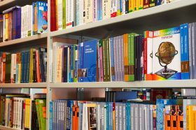 Канистерапия состоится в библиотеке № 267. Фото: Ксения Догонашева, «Вечерняя Москва»