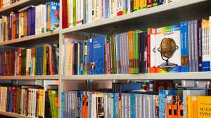 Канистерапия состоится в библиотеке №267. Фото: Ксения Догонашева, «Вечерняя Москва»