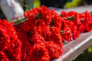 День чести провели в школе №1284. Фото: Ксения Догонашева, «Вечерняя Москва»