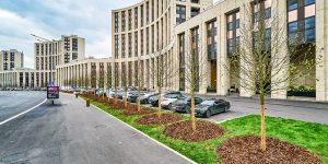 Деревья высадят в Красносельском районе. Фото: пресс-служба комплекса городского хозяйства Москвы