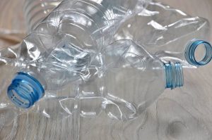 Экологическую акцию проведут молодые парламентарии Красносельского района. Фото: Анна Быкова, «Вечерняя Москва»