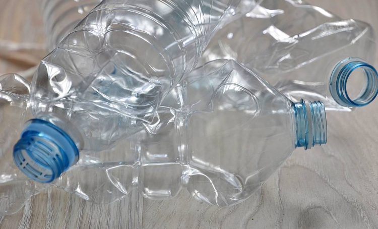 Экологическую акацию проведут молодые парламентарии Красносельского района. Фото: Анна Быкова, «Вечерняя Москва»