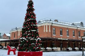 Глава управы Красносельского района совершила обход территории. Фото: страница управы Красносельского района в социальных сетях