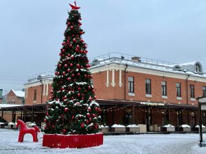 Глава управы района совершила обход территории. Фото: страница управы Красносельского района в социальных сетях