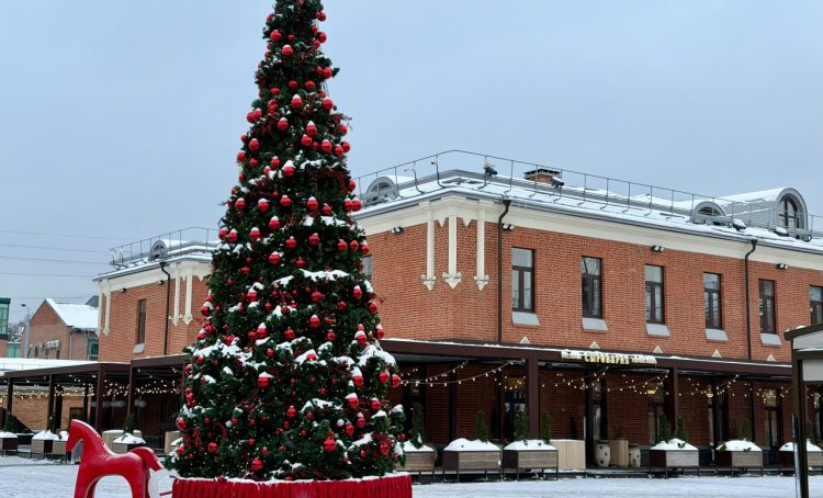 Глава управы Красносельского района совершила обход территории. Фото: страница управы Красносельского района в социальных сетях
